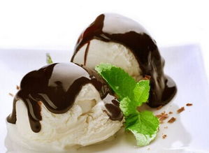 零元加盟費(fèi)，冰雪精靈冰淇淋創(chuàng)業(yè)指南 如何以零成本啟動并掌握核心技術(shù)